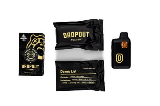 dropout academy disposable