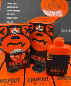 DROPOUT ACADEMY MIDTERMS