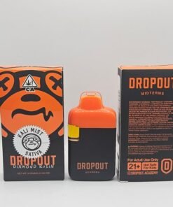 Dropout Academy Midterms Kali Mist
