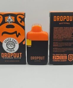 Dropout Academy Midterms Space Cake